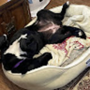 Meet your Posher, Kathy